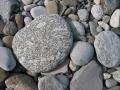 2005-05-03T16-20-02_Thomas_1